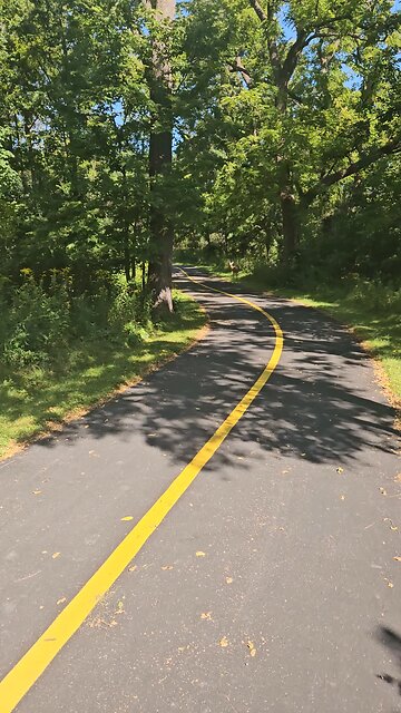 Another Deer on the Trail