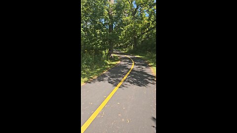 Another Deer on the Trail
