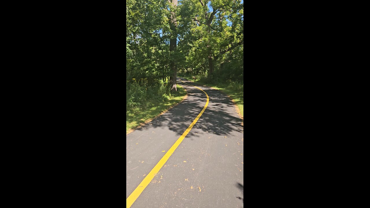 Another Deer on the Trail