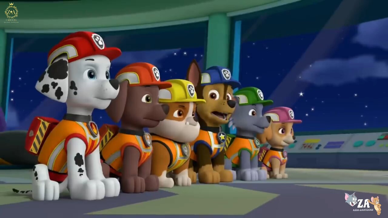 PAW Patrol Cartoons