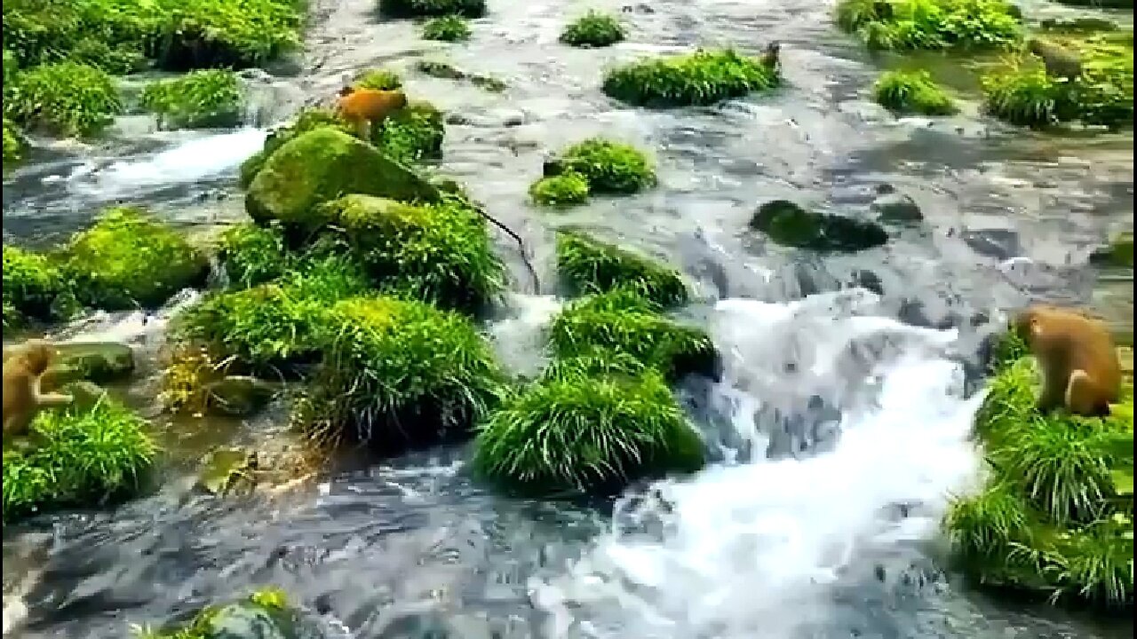 THE POWER OF CORPORATE PRAYER - DAILY DEVOTIONAL ❤️