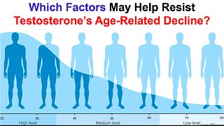 Which Factors May Help Resist Testosterone's Age-Related Decline?