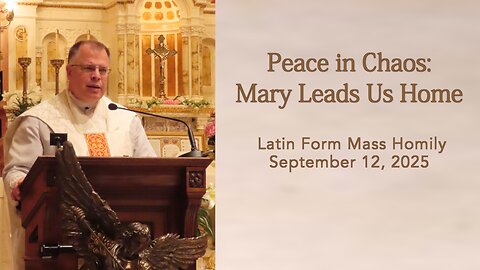 Peace in Chaos: Mary Leads Us Home