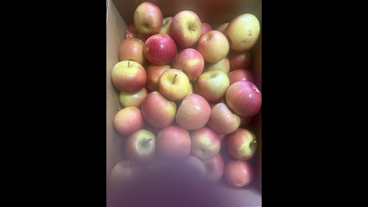 Canning Sauce Apples Mixed With Pie Apples
