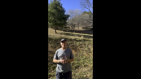 Grant Writer Needed #nonprofit #animaltherapy #teenmentalhealth