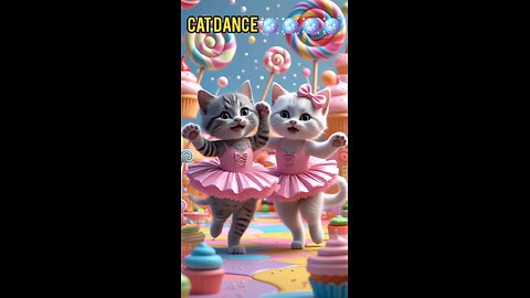 cat dance 🪩🪩