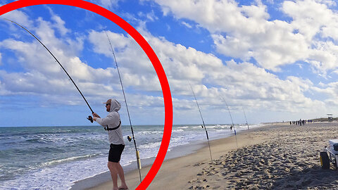 Surf Fishing is ON FIRE right NOW! - Species after Species!