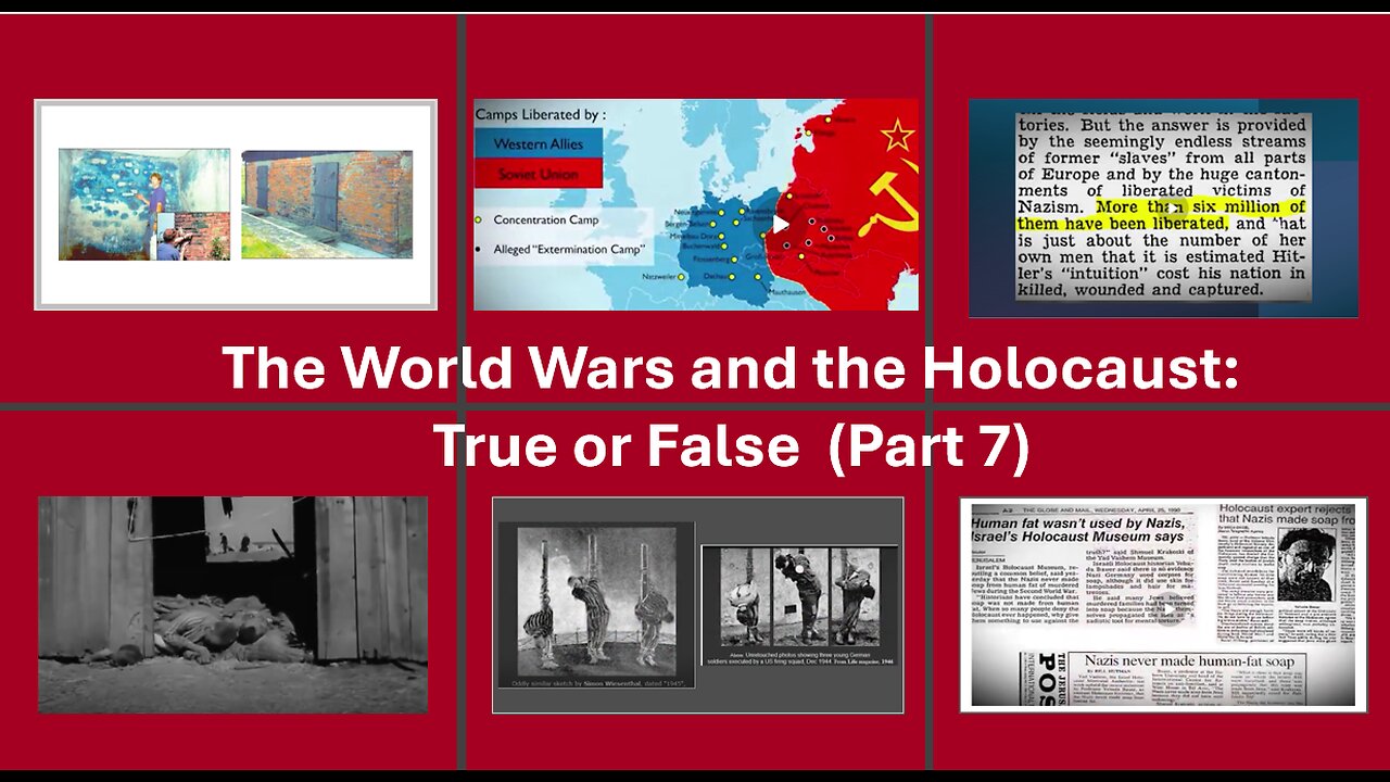 The World Wars and the Holocaust: True or False (Part 7)