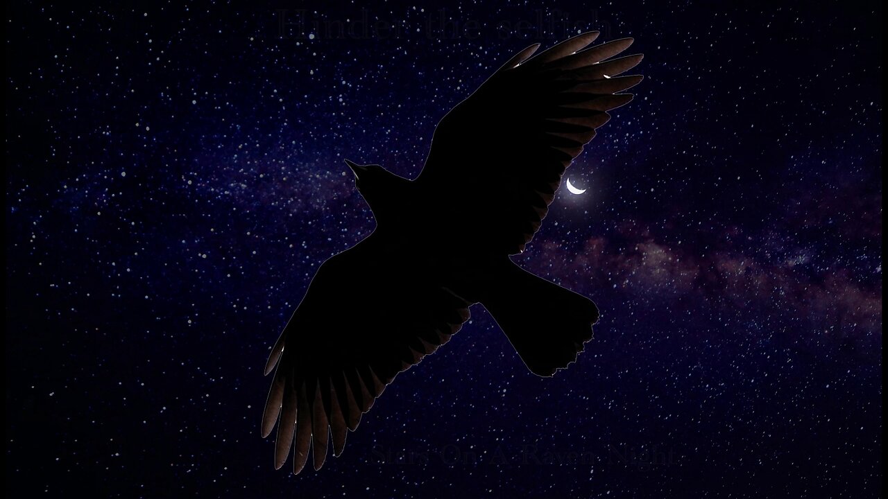 Song: Stars On A Raven Night by Hinder The Selfish