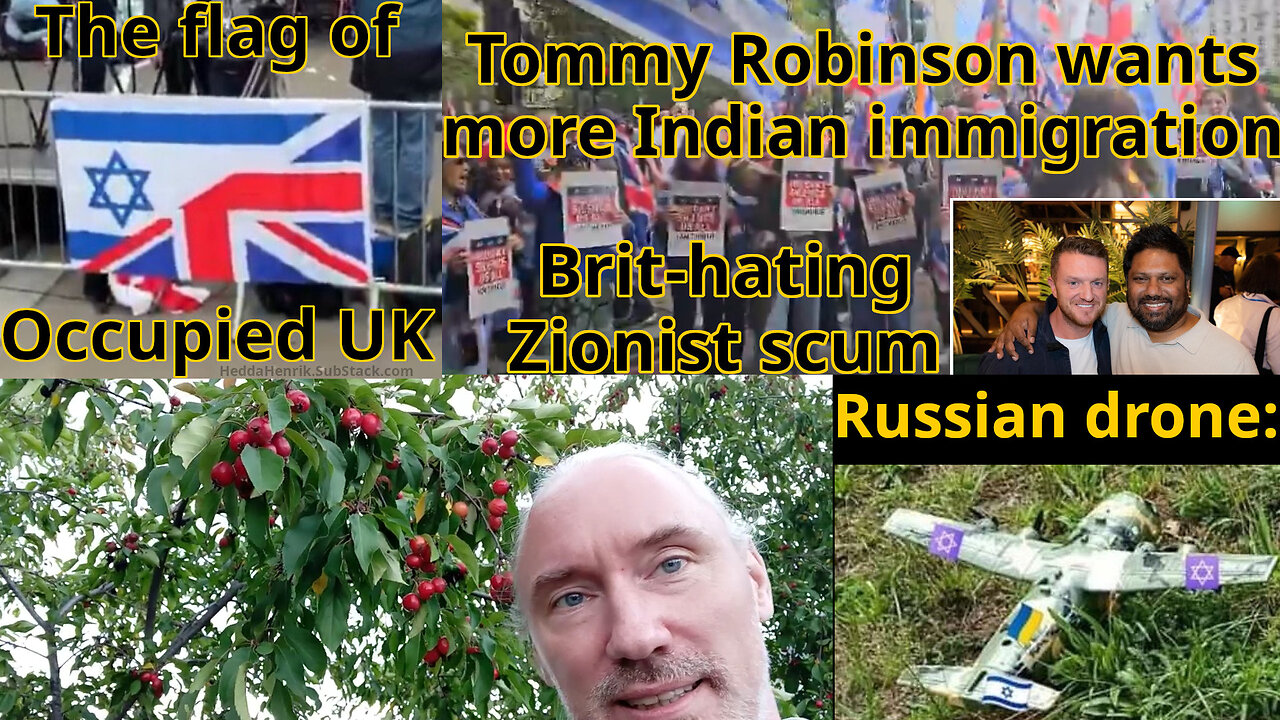 Salicylic Willow. Poles mock drones. Zionist UK "nationalism". Private server. Israel to bomb Turkey