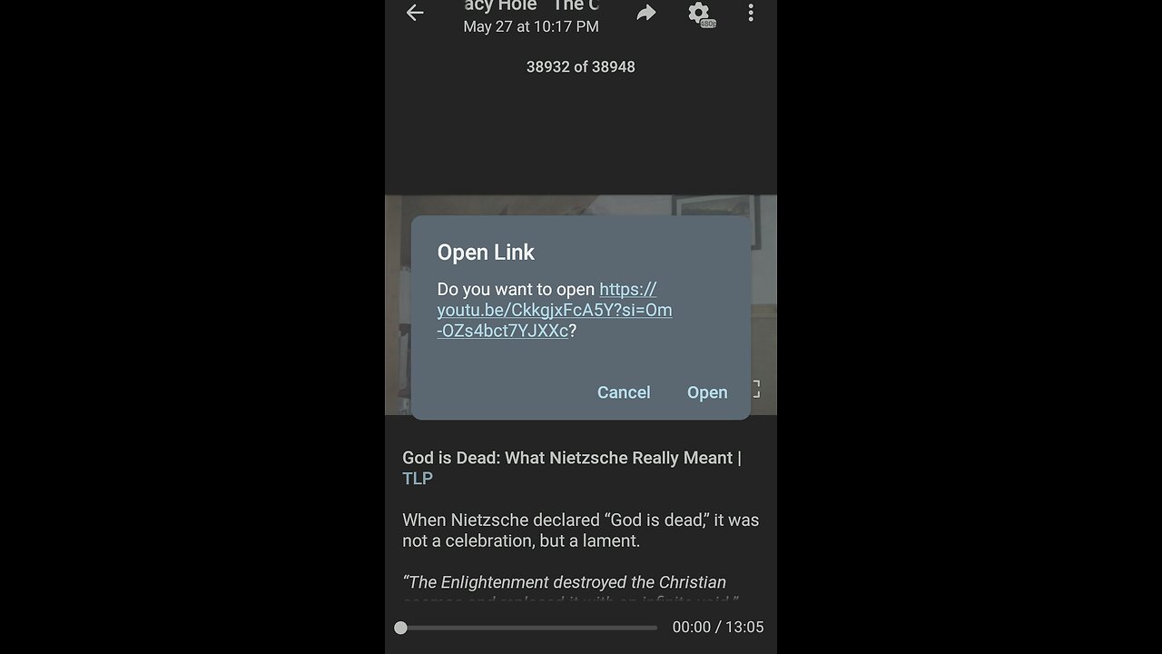 Documentary: Something about Nietzsche's Theory