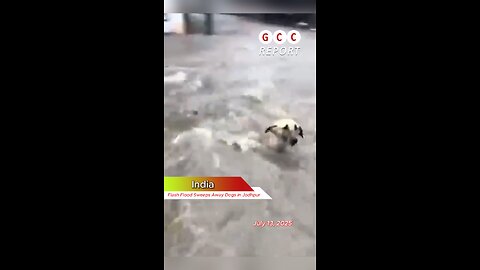#India #flashflood #Jodhpur #Rajasthan #heavyrain #destruction #anomaly #weather #climatechange