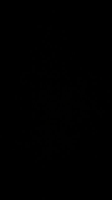 Corned beef and cabbage