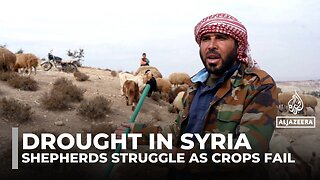 Syria drought worsens: Farmers and shepherds struggle as crops fail and dams run dry