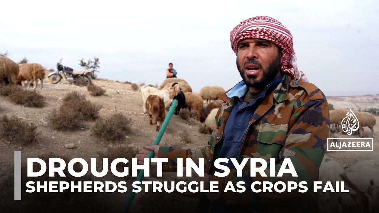 Syria drought worsens: Farmers and shepherds struggle as crops fail and dams run dry