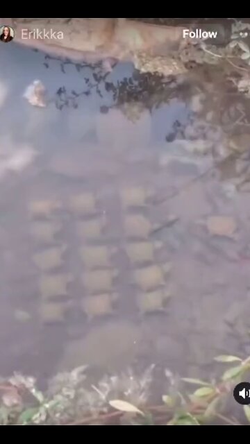 The Tunnell Take Some questions.