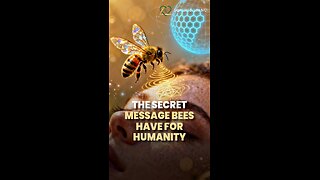 What the Bees Are Really Doing…