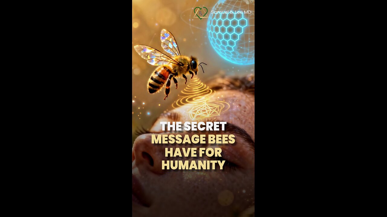 What the Bees Are Really Doing…