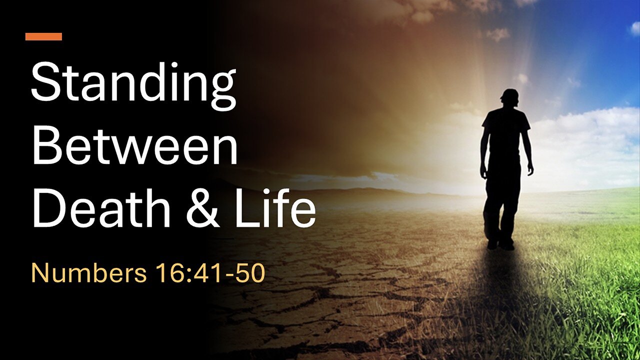 Standing Between the Dead & the Living