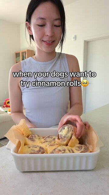 Love All Life Always #181 - These Dogs Never Had It So Good - And They Have Great Patience Too!