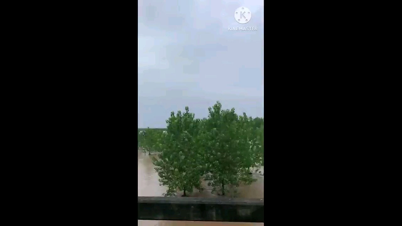 satisfying Video