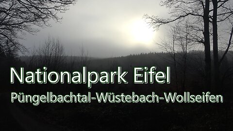 Atmospheric Foggy Hike in Eifel National Park with Abandoned Ghost Village Wollseifen and Church