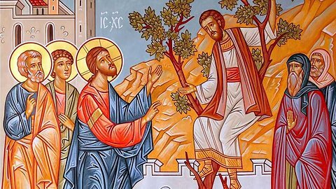 Κυριακή ΙΕ΄ Λουκά (Του Ζακχαίου) - Ζωντανή Μετάδοση Θείας Λειτουργίας, Μετόχι Ιεράς Μονής Κύκκου