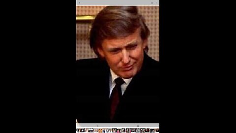 Younger Trump😁💙🇺🇸🌼