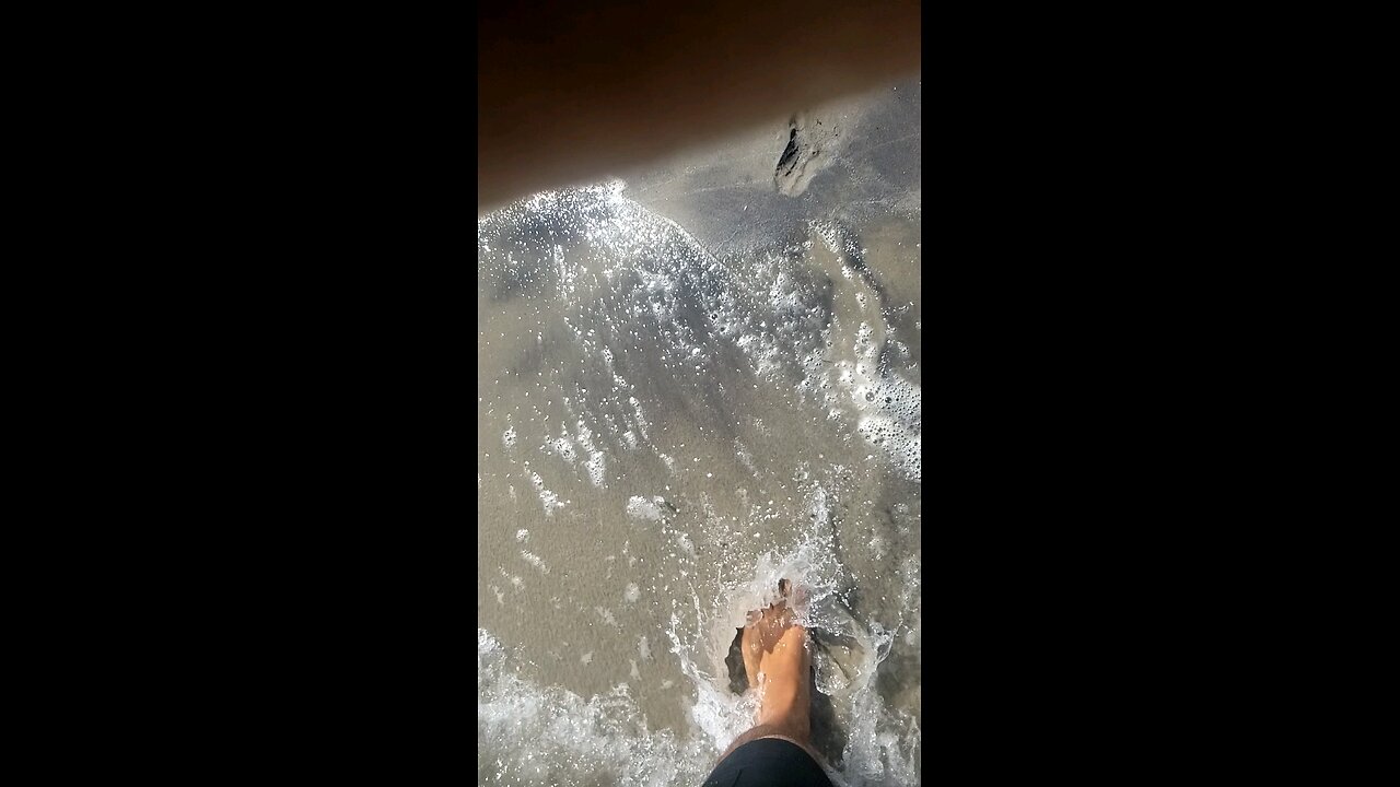 So.... I missed the button for the camera and got this instead of an 18" fluke