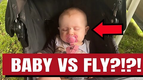 Baby Kayla vs Fly | Hilarious Sleeping Baby Moment Caught on Camera! 😱