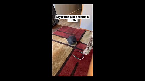 “When Life Gives You Funny Mood | Ultimate Meme Shorts” #FunnyMemes #MemeShorts #ViralVideo