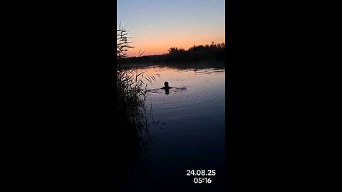 Swimming in the river