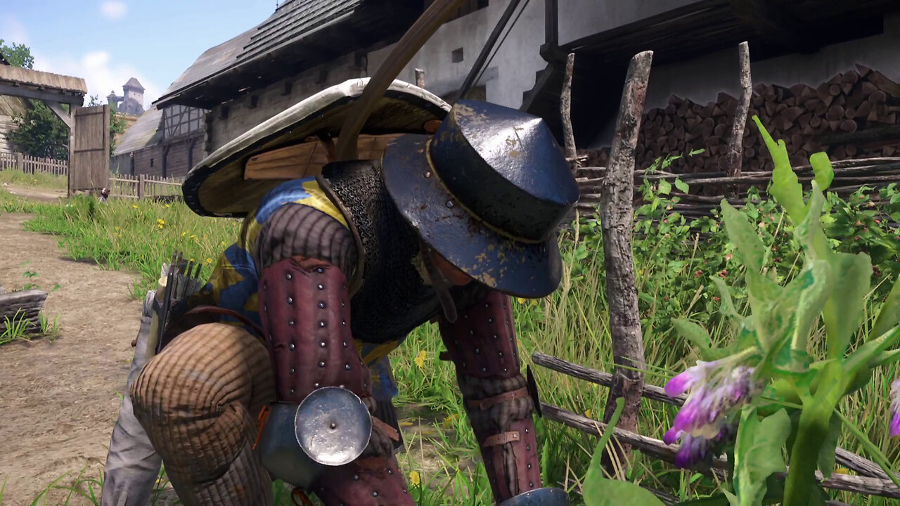 Kingdom Come Deliverance 2 - Find some comfrey (Miri Fajta)