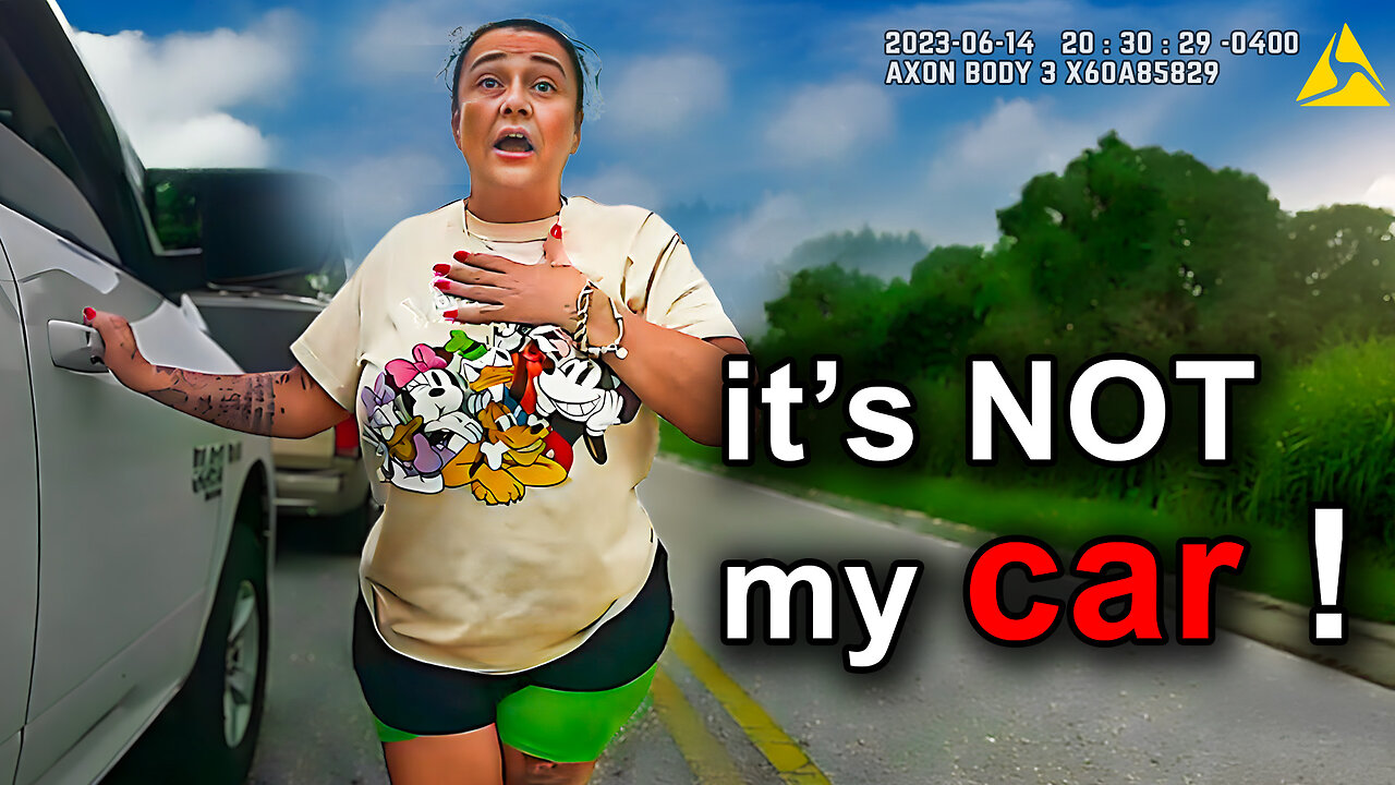 Most Painful Traffic Stops You'll Ever See