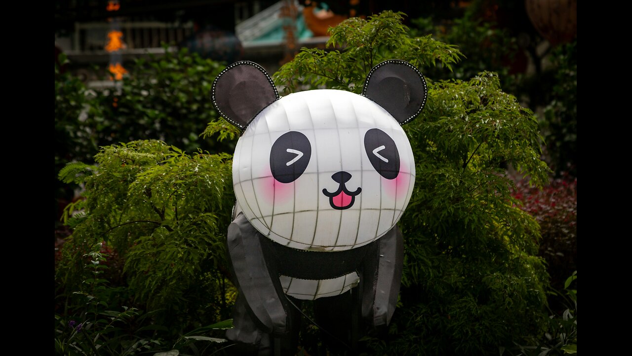 Bill Cuthbert Admits He Wears a Panda Suit to Preach to Children\GluteusIlliminatus' Video 11 Jun 25