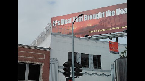 Stupid peta billboard ad in L.A