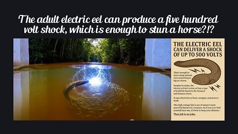 Fun Fact for May 31st 2025 Pt 2
