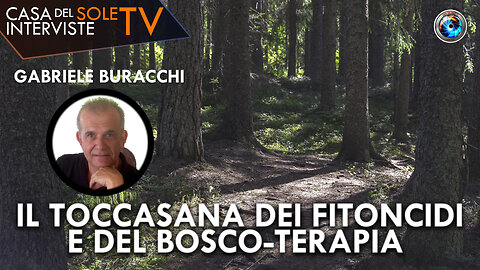 Gabriele Buracchi: il toccasana dei fitoncidi e della bosco-terapia