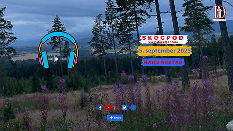 Skogpod 5. september 2025