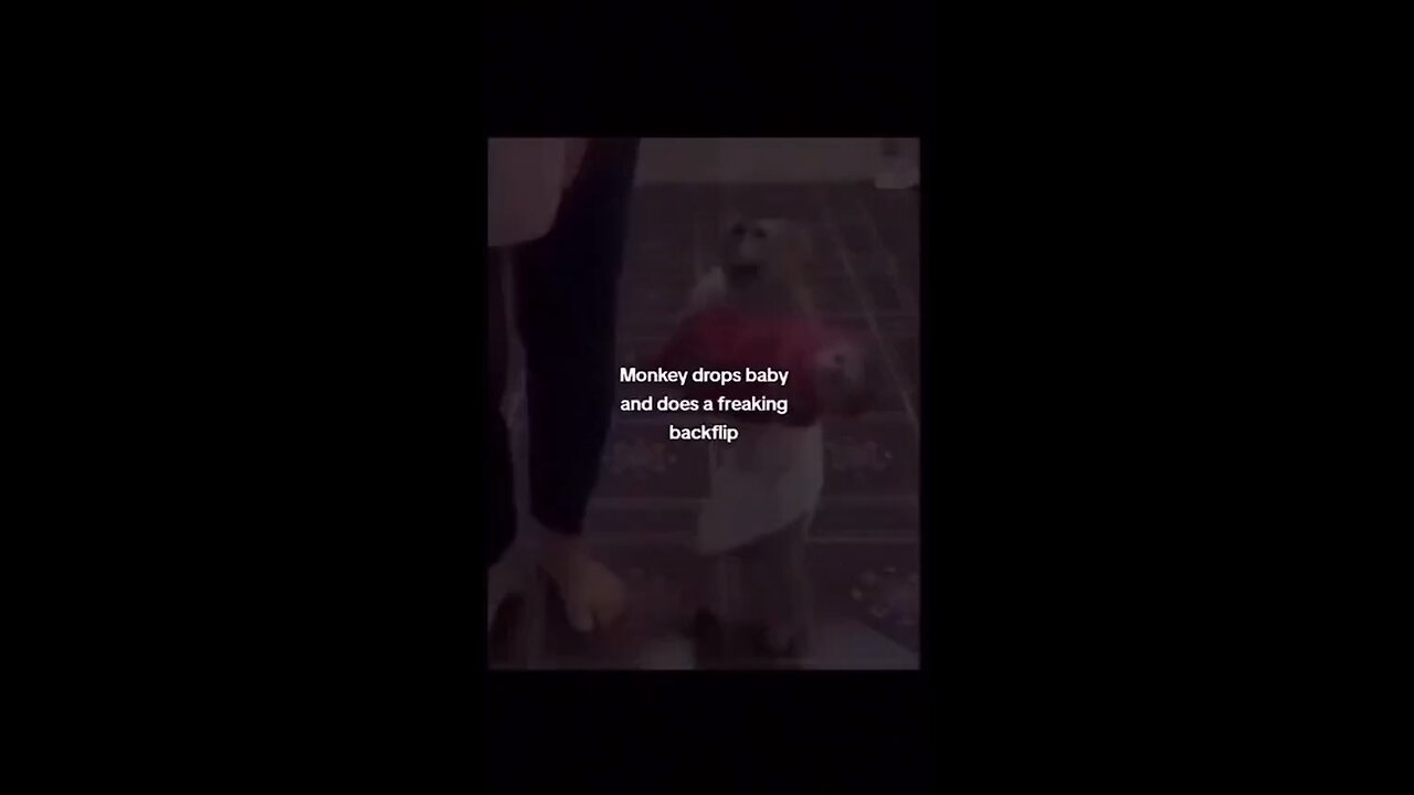 Sub GaHFBOY On YOUTUBE