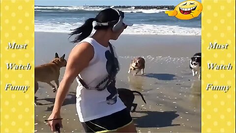 Best Funny Vines Compilation Ever - A Must Watch!