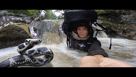 Surviving 24 hours on SNAKE ISLAND Challenge (Uninhabited/Primitive/Fishing)