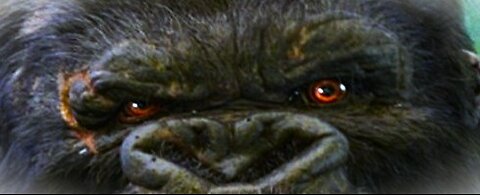 Grumpy Games - Div and XCOM - Appreciate follows and chats