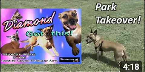 DIAMOND TAKES OVER PARK!