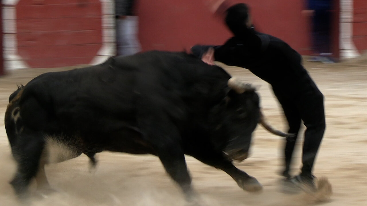 2025 04 12 BENASAL EMBOLADORES B&I