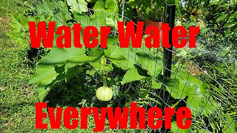 Pre-Vacation July Garden Tour