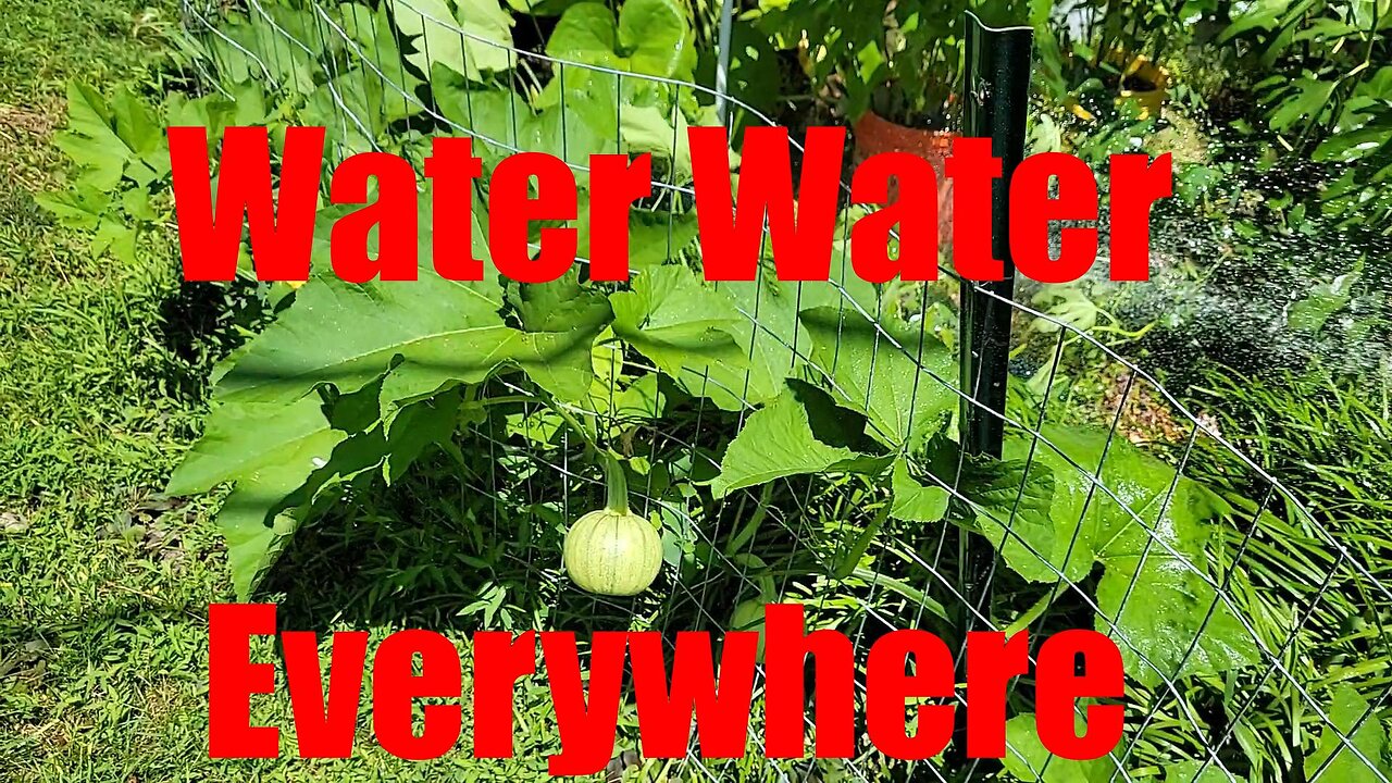 Pre-Vacation July Garden Tour