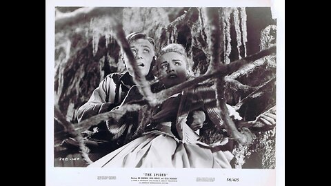 WSNS TV 44 Monster Movie Presents Earth vs. The Spider (1958)