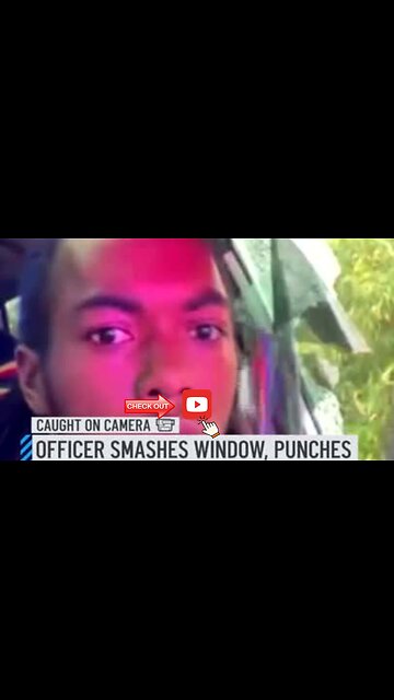 Viral video shows officer bust open window, hit Florida man in face during traffic stop