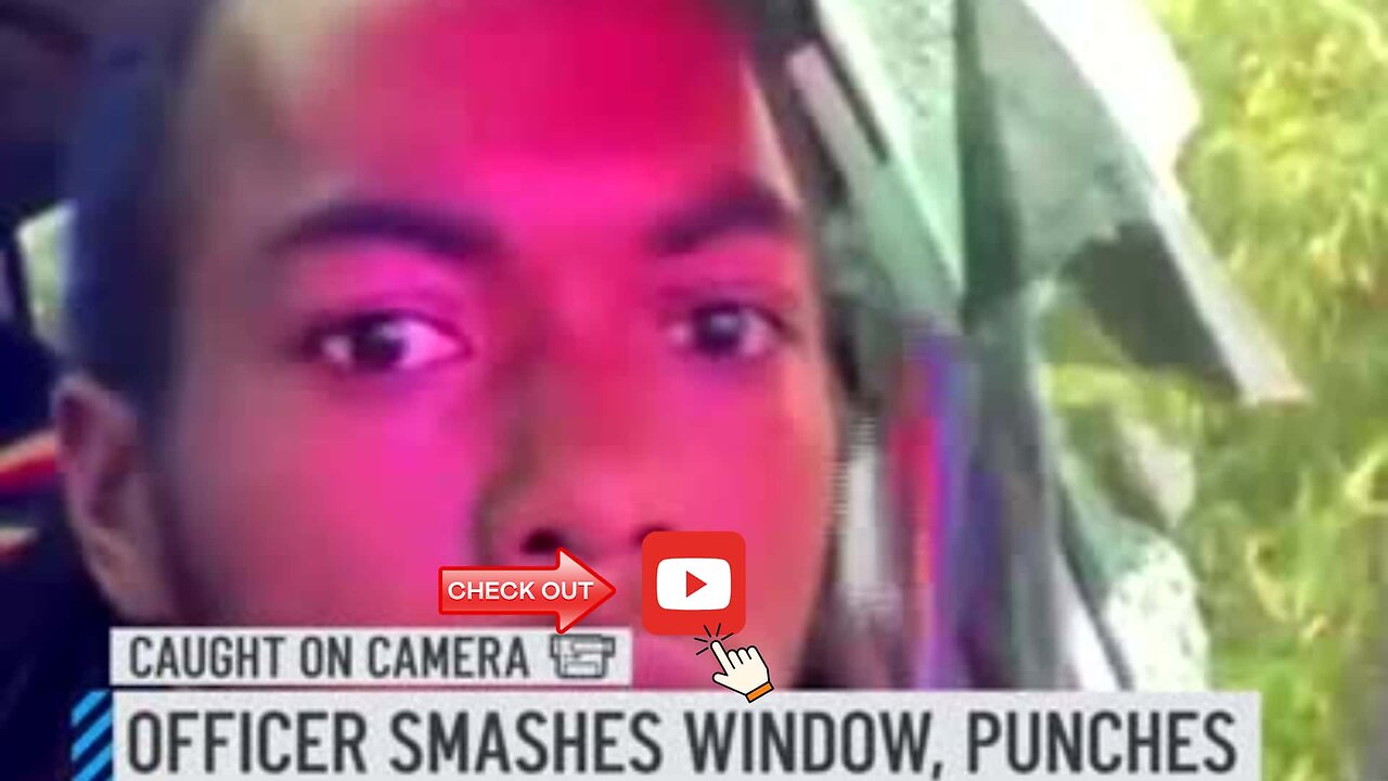 Viral video shows officer bust open window, hit Florida man in face during traffic stop